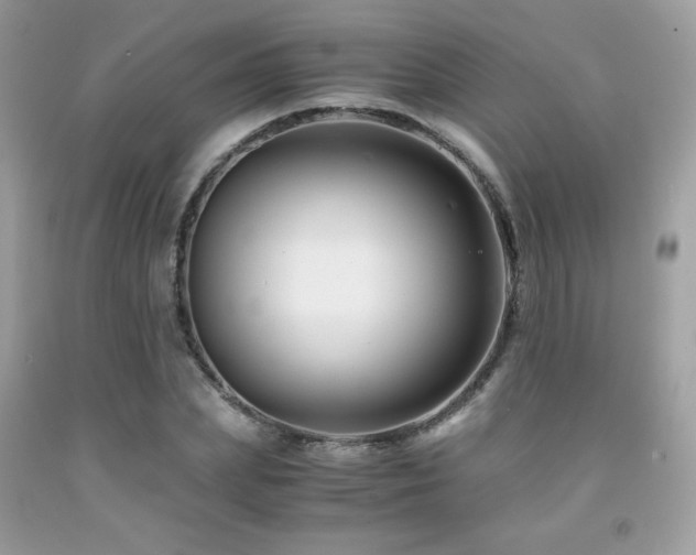 X0000092020831200709061551