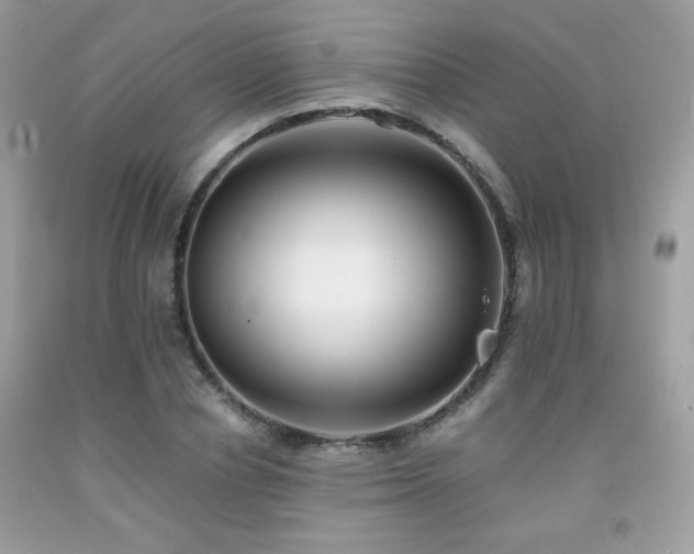 X0000092020834200709061551