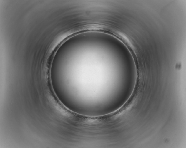 X0000092020835200709061551