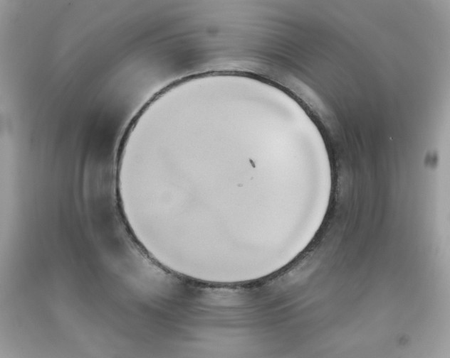 X0000092020836200709061551