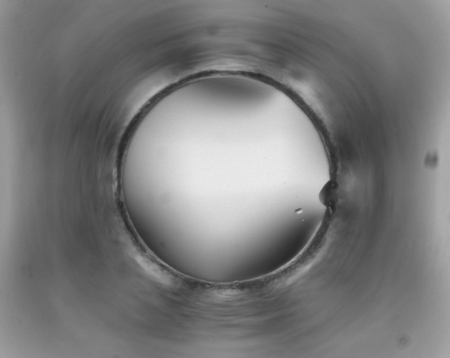 X0000092020837200709061551