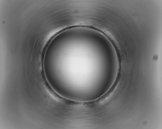 X0000092020838200709061551