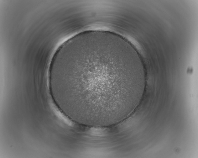 X0000092020840200709061551