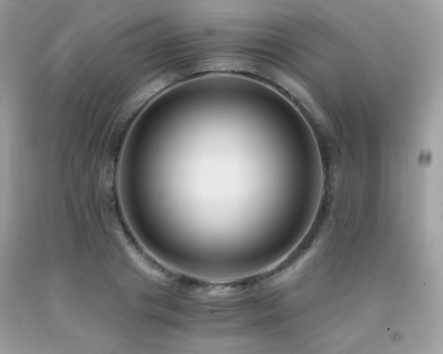 X0000092020841200709061551
