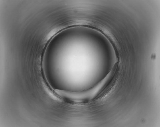 X0000092020842200709061552