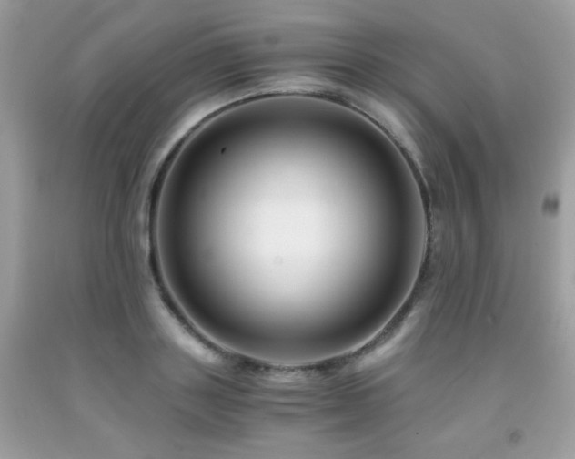 X0000092020843200709061552
