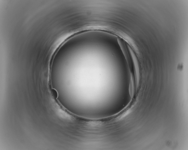 X0000092020844200709061552