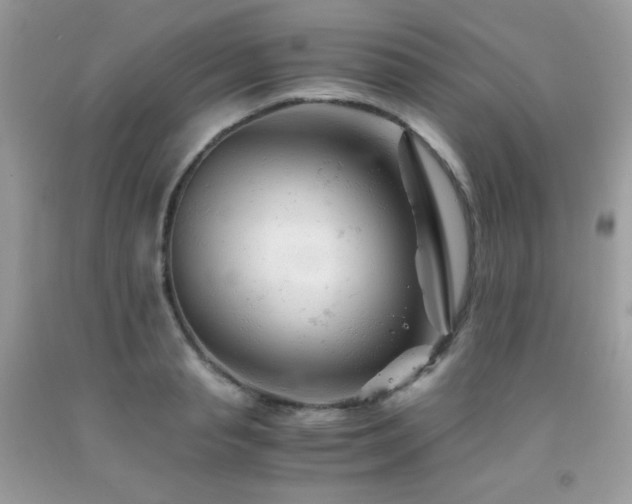 X0000092020845200709061552
