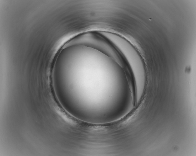 X0000092020846200709061552