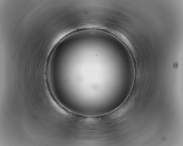 X0000092020847200709061552