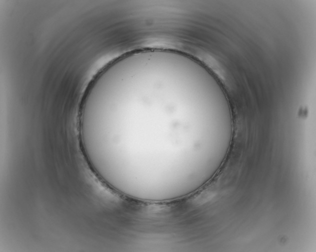 X0000092020848200709061552