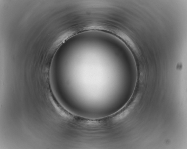 X0000092020849200709061552