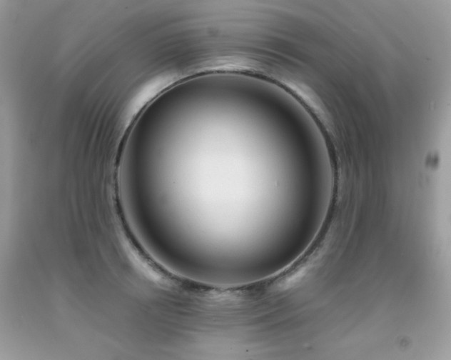 X0000092020850200709061552