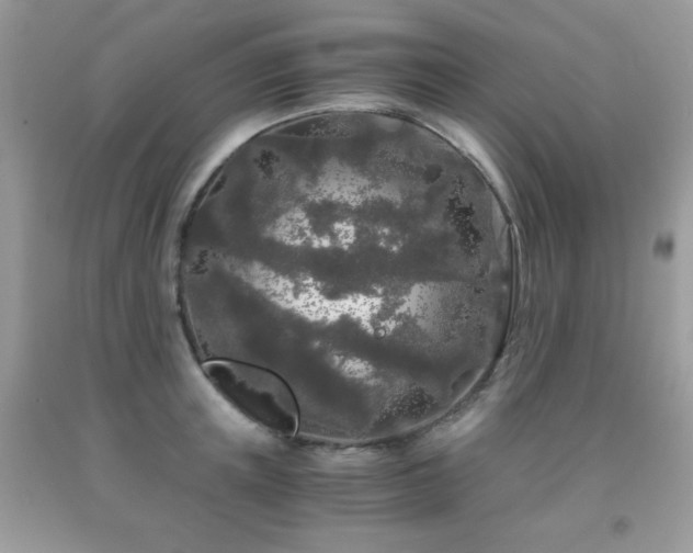 X0000092020851200709061552