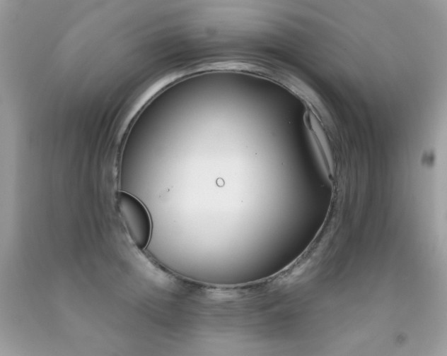 X0000092020852200709061552