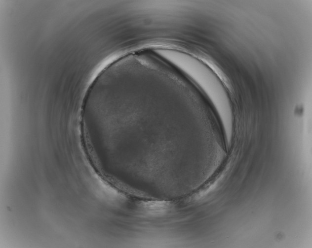 X0000092020853200709061552