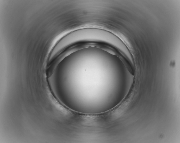 X0000092020854200709061552