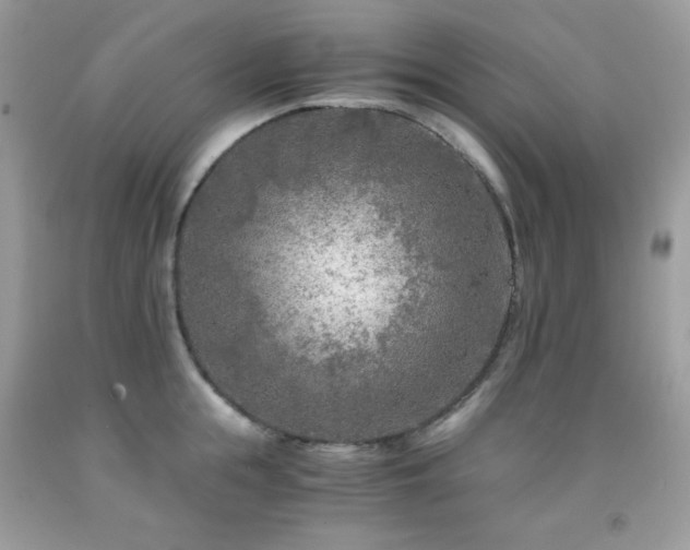 X0000092020855200709061552