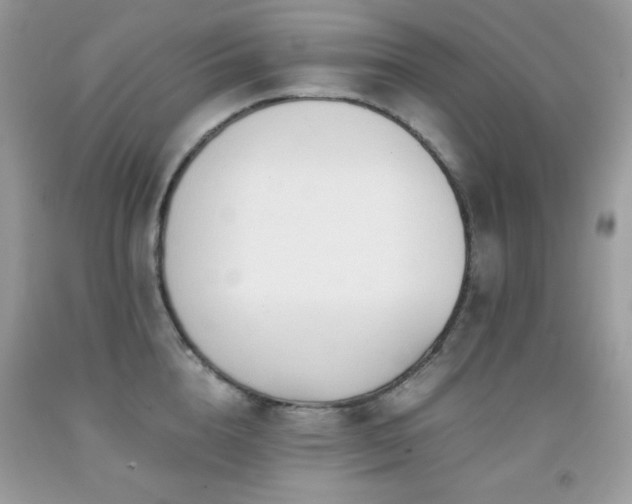 X0000092020856200709061552