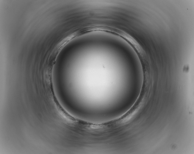 X0000092020857200709061552