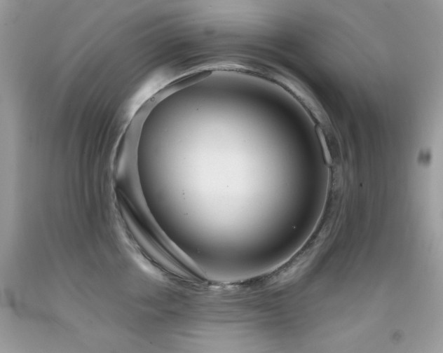 X0000092020858200709061552