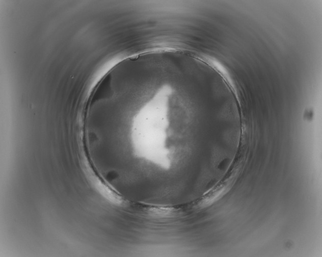 X0000092020859200709061552