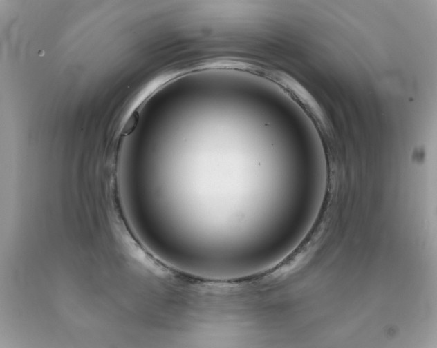 X0000092020860200709061552