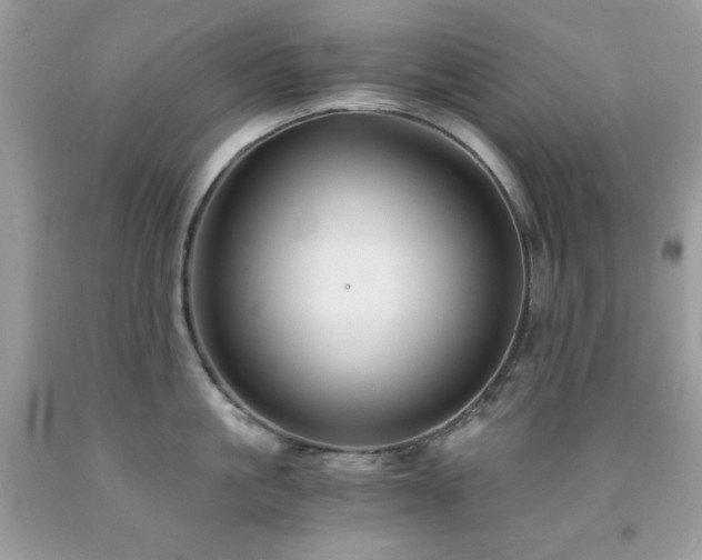 X0000092020861200709061552