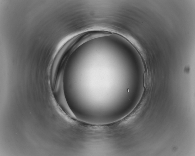 X0000092020862200709061552