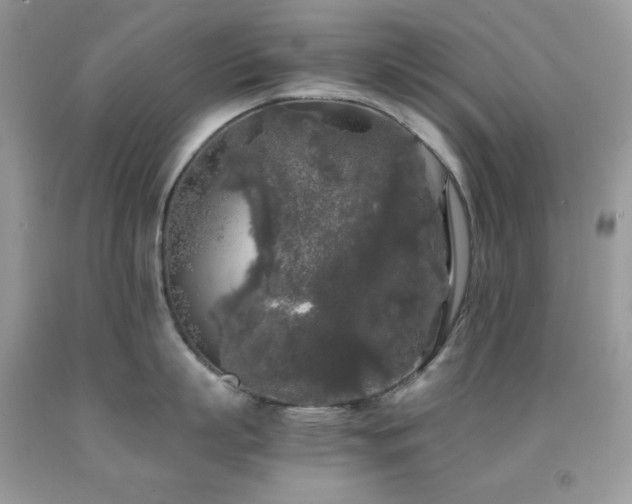 X0000092020863200709061552
