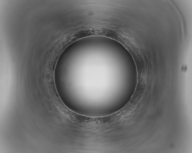 X0000092020865200709061551