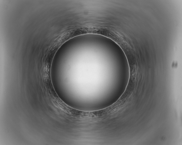 X0000092020866200709061551