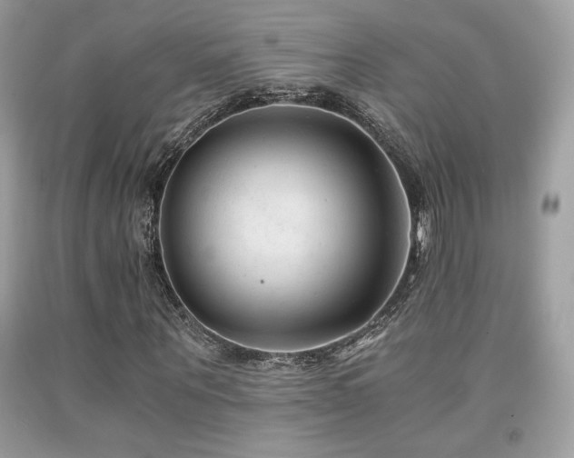 X0000092020867200709061551