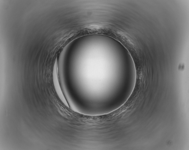 X0000092020868200709061551