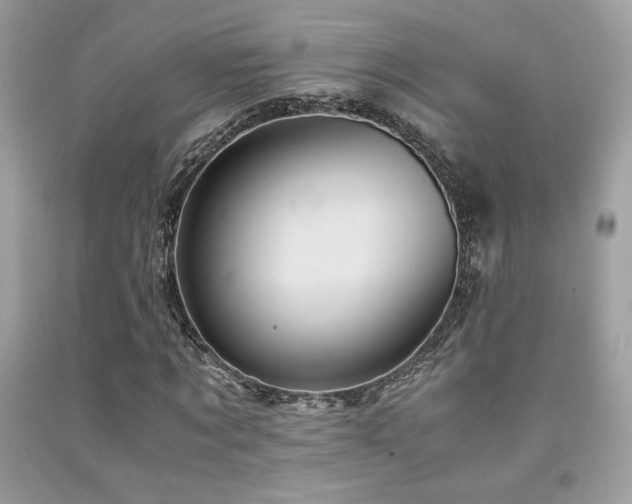 X0000092020869200709061551