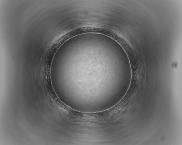 X0000092020870200709061551