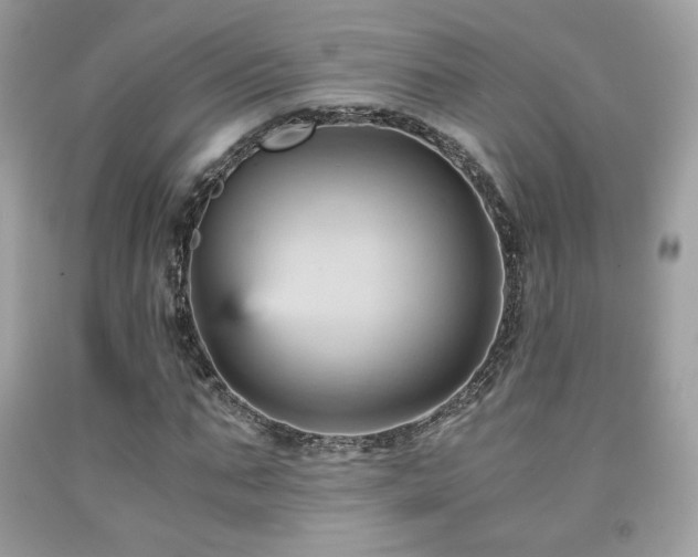 X0000092020871200709061551