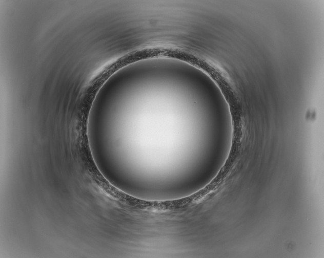 X0000092020872200709061551