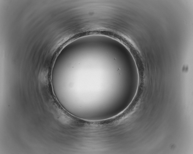 X0000092020873200709061551