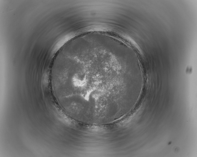 X0000092020874200709061551