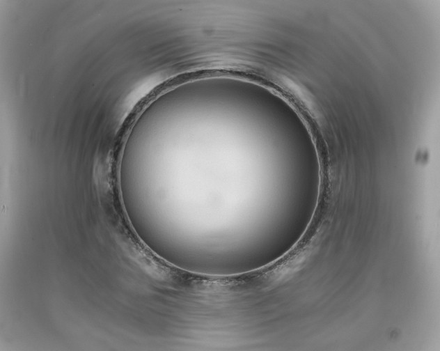 X0000092020875200709061551