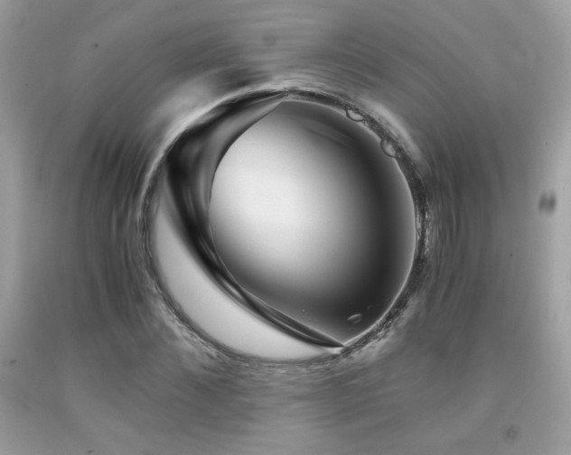 X0000092020876200709061551