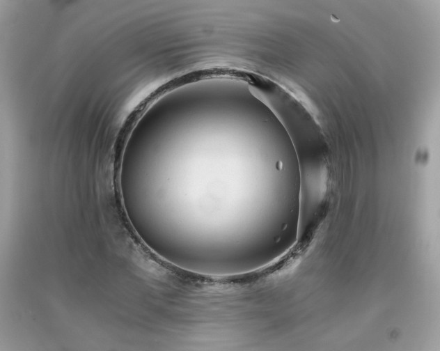 X0000092020877200709061551