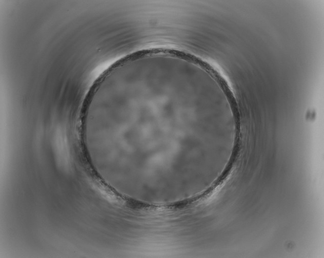 X0000092020879200709061551