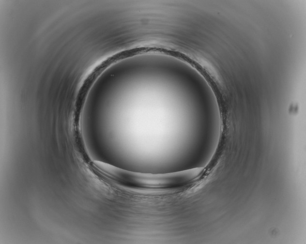 X0000092020880200709061551