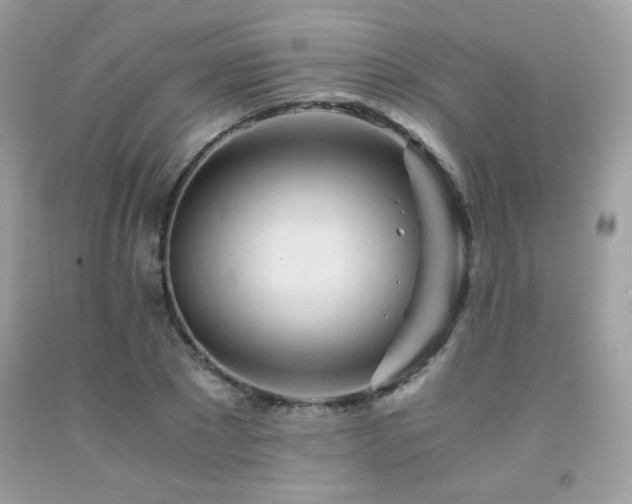 X0000092020881200709061551