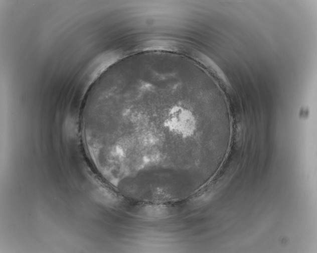 X0000092020882200709061551