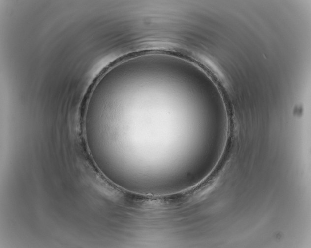X0000092020883200709061551