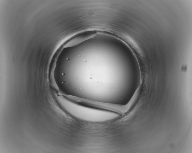 X0000092020884200709061551
