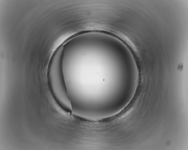 X0000092020885200709061551